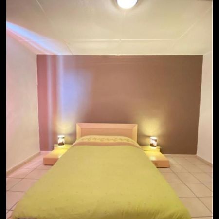 סן-אטיין Belle Appartement Chaleureux A 2 Mn A Pied Du Tramway. מראה חיצוני תמונה